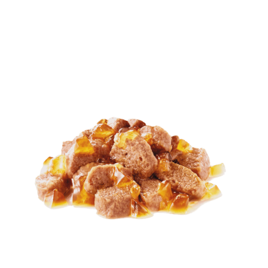 Royal Canin Instinctive – Hrană Umedă pentru Pisici Adulte, în Gelatină – 85 g